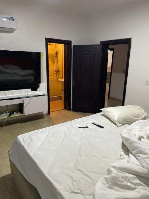 Luxury 3 Bedroom Shared Apartment, Ikate, Lekki, Lagos, Flat / Apartment for Rent