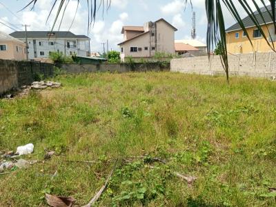 Full Plot of Land in an Estate Close to The Road, Badore, Ajah, Lagos, Mixed-use Land for Rent