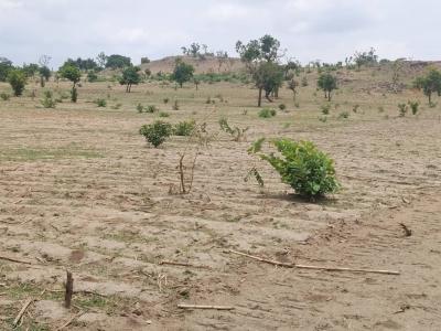 6 Bedroom Mansionate with Bq, Burum West District, Apo, Abuja, Residential Land for Sale