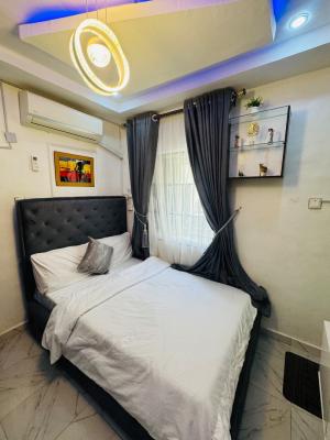 Fully Furnished Studio Apartment, Lisabi Pam Groove, Palmgrove, Shomolu, Lagos, Self Contain (single Rooms) for Rent