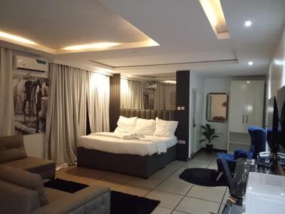 Studio Apartment, Wuse 2, Wuse 2, Abuja, Flat / Apartment Short Let