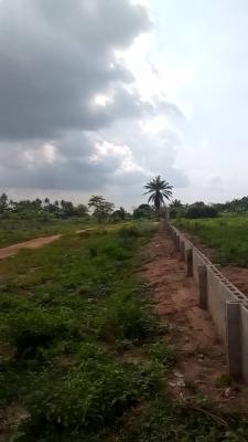 a Dry Land Measure 500 Square Meters, Igbonla Community Epe Lagos, Epe, Lagos, Residential Land for Sale