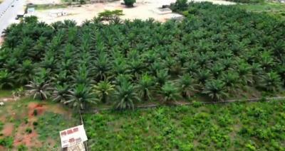 Land, Green Palm Estate Along Asaba Warri Expressway, Asaba, Delta, Mixed-use Land for Sale