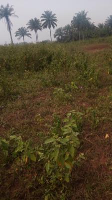 Dry Plot of Land, Oka-afo, Ilogbo King Palace Road, Ado-odo/ota, Ogun, Mixed-use Land for Sale