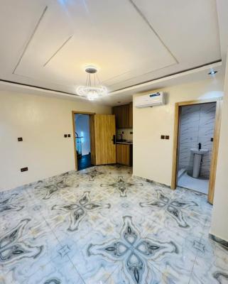 Exquisitely Built Studio Apartment in Serene Environment, Surulere, Lagos, Flat / Apartment for Sale