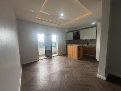 Luxury 2 Bedroom Apartment in a Flood Free Area, Ikate, Lekki Phase 1, Lekki, Lagos, Flat / Apartment for Rent