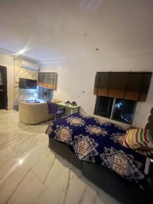 Spacious Studio Apartment, Osapa, Lekki, Lagos, Flat / Apartment for Rent