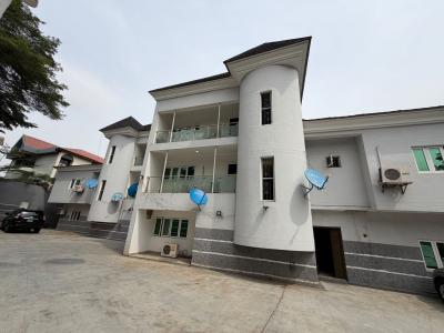 Furnished Two Bedroom Apartment, Asokoro Main, Asokoro District, Abuja, Flat / Apartment for Rent