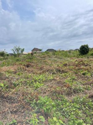 60 By 120 Full Plot of Land in a Good Developed Neighborhood, Egbado, Alakuko, Ifako-ijaiye, Lagos, Mixed-use Land for Sale