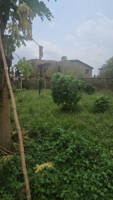 Half Plot of Land, Canalview Estate, Oke Afa, Isolo, Lagos, Residential Land for Sale