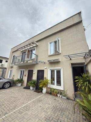 Furnished Mini Flat, Ikoyi, Ikoyi, Lagos, Flat / Apartment for Rent