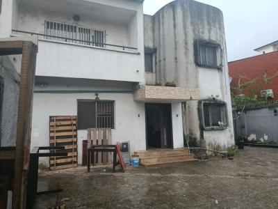 9bedroom Fully Detached Duplex with 4rooms Bq, Victoria Island (vi), Lagos, Detached Duplex for Rent