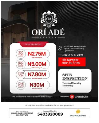 C of O in Process, Ori Ade, Ikorodu, Lagos, Mixed-use Land for Sale