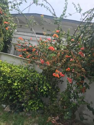 a 6 Bedroom House with 3 Rooms Bqat Victoria Island., Off Adeola Odeku, Victoria Island (vi), Lagos, Detached Duplex for Rent