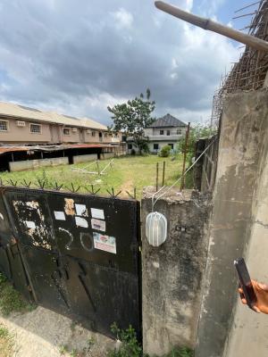 Fantastic Land, Magodo Gra, Gra Phase 1, Magodo, Lagos, Land for Sale