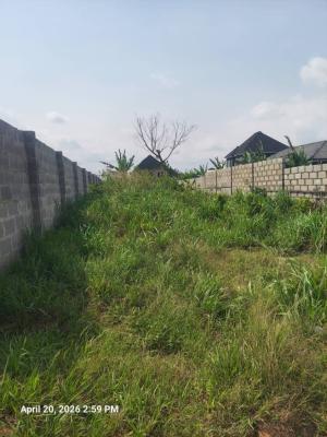 Residential Land, Lagos Cooperative Estate Isefun Ipaja Ayobo Lagos, Ipaja, Lagos, Residential Land for Sale