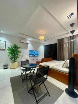 1 Bedroom Studio Apartment, Ikate Elegushi, Lekki, Lagos, Self Contain (single Rooms) Short Let