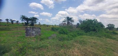 Half Plot of Land in an Estate Around Channels Tv Station Opic, Opic Estate Lagos, Opic, Isheri North, Lagos, Residential Land for Sale