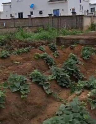 Distress Sell Plot, 4 Bedrooms Fully Detached Bungalow with Bq Plot, Galadimawa, Abuja, Land for Sale