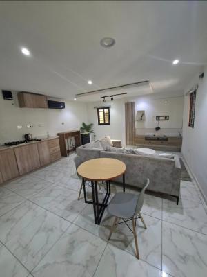 Direct Furnished Or Unfurnished Onebedroom Flat  with Fitted Kitchen, Lekki Phase One By Jose Maria, Lekki Phase 1, Lekki, Lagos, Mini Flat (room and Parlour) for Rent