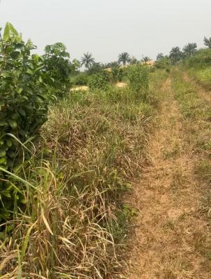 200 By 100 Landed Property with C of O, Ogua Community, After Ekiadolo College of Education, Ovia North-east, Edo, Mixed-use Land for Sale