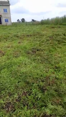 Plot of Land of Approximately 476sqm, Well Developed Area Off Gbangbala, Ikate Elegushi, Lekki, Lagos, Residential Land for Sale