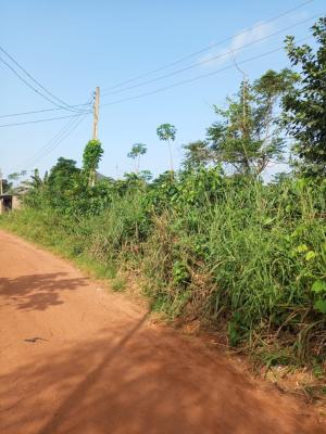 Prime Executive Plot 764sqm, Off Coker Road, Ilupeju, Lagos, Mixed-use Land for Sale