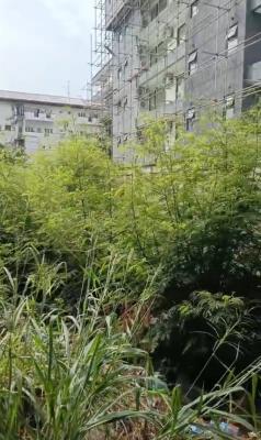 Joint Venture, Banana Island, Banana Island, Ikoyi, Lagos, Residential Land Joint Venture