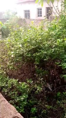 Compact 244 Sqm of Land with Deed of Assignment, Agbenuba, Riverview Estate, Alagbado, Ifako-ijaiye, Lagos, Residential Land for Sale