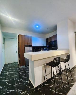 Exquisitely Furnished One Bedroom Apartment (ensuite), Mabushi, Abuja, Flat / Apartment for Rent