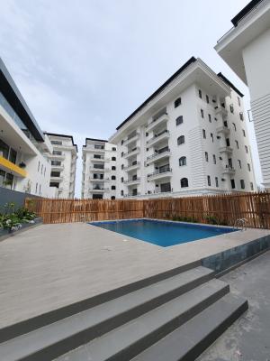 Luxury 2 Bedroom Apartment with Bq, Pool, Elevator, Lekki Phase 1, Lekki, Lagos, Flat / Apartment for Rent