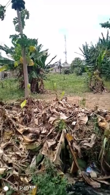 a Plot of Land, Igando, Alimosho, Lagos, Land for Sale