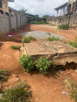Registered Survey, Akowonjo, Alimosho, Lagos, Mixed-use Land for Sale