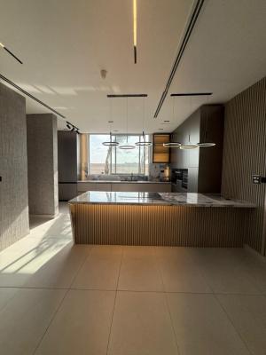 Contemporary 2 Bedroom Penthouse with Gazzebo,pool, Water Fountain, Gy, Phase 1, Lekki, Lagos, Block of Flats for Sale