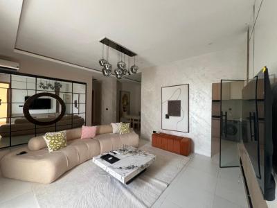 Furnished Luxury 2 Bedroom Apartment, Lekki Phase 1, Lekki, Lagos, Flat / Apartment for Rent