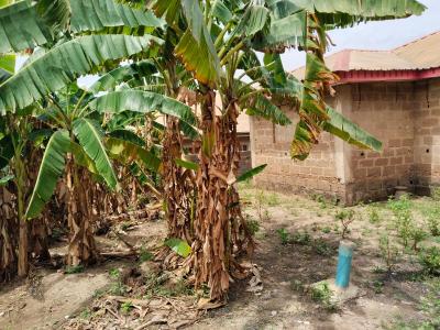 Lovely and Sweet Commercial Plot, Magboro, Ogun, Commercial Land for Sale