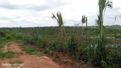 Acres of Land 6 Plots, Ofada Axis, Obafemi Owode, Ogun, Land for Sale