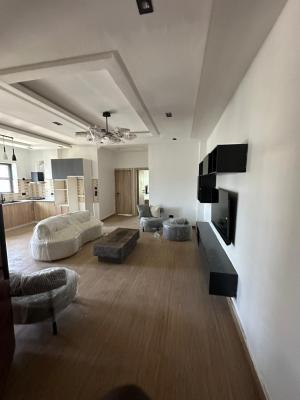 Brand New Fully Furnished Two Bedroom Flat, Ikate, Lekki, Lagos, Flat / Apartment for Sale