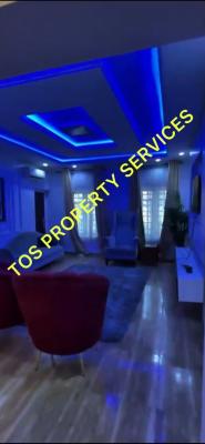 Fully Furnished 2 Bedroom Apartment, in an Estate @ Ikate, Lekki, Ikate, Lekki, Lagos, Flat / Apartment for Rent