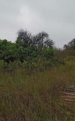 40hectares, Gra, Abijo, Lekki, Lagos, Land for Sale