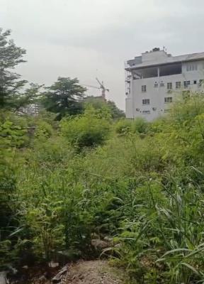 1500sqm Bareland, Banana Island Estate, Banana Island, Ikoyi, Lagos, Land Joint Venture