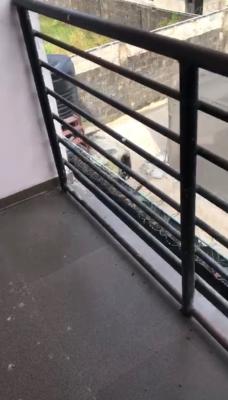 Spacious 3 Bedroom Apartment, Lakowe, Ibeju Lekki, Lagos, Flat / Apartment for Rent