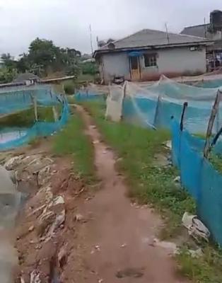 Standard 2 Plots of Land with Fish Pond in Good Residential Area, Behind Christland College, Idimu-ejigbo Area, of Alimosho Lagos*, Idimu, Lagos, Mixed-use Land for Sale