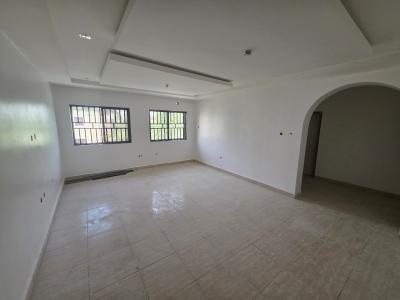 a Well Spacious 3 Bedroom Flat, Ebitu Ukiwe Street, Jabi, Abuja, Flat / Apartment for Rent