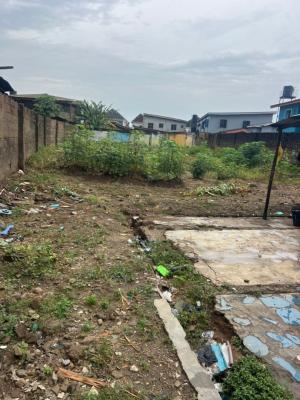 2 Plots of Land Facing Road, Idimu Road, Egbeda, Alimosho, Lagos, Land for Sale