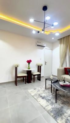 Newly Built 28 Units of 1 Bedroom Apartment, Oniru, Victoria Island (vi), Lagos, Self Contain (single Rooms) for Sale