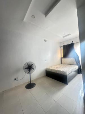 Spacious Room Shared Apartment, South Point, Orchid Road, Lekki, Lagos, Self Contain (single Rooms) for Rent