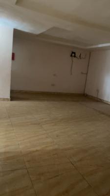 Spacious 1 Bedroom Apartment, Lekki Phase 1, Lekki, Lagos, Mini Flat (room and Parlour) for Rent