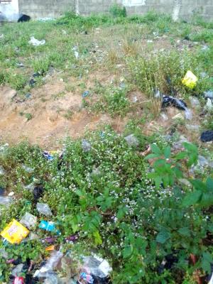 Fenced Bare Land Measuring 400 Sqm, Off Yetunde Brown Estate, Ifako, Gbagada, Lagos, Mixed-use Land for Sale