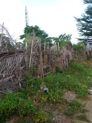 Land Measuring 428 Sqm, Soluyi, Gbagada, Lagos, Mixed-use Land for Sale